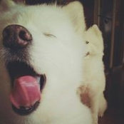 Ma Hung Keis foto