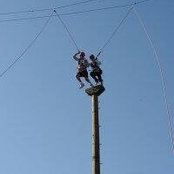 Brad Goldberg's photo