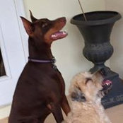 Leanne Thomas's photo