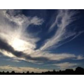 Laura Sanda's photo