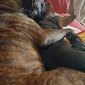 Aimee Alderman's photo