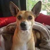 Peete Dogerty's photo
