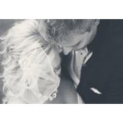 Shane Mihalow's photo
