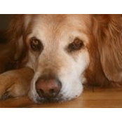 Julie Larson's photo