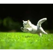 Mohammed Albhlool's photo