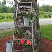 Wendy Pond's photo