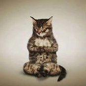 Tuan Thanh's photo