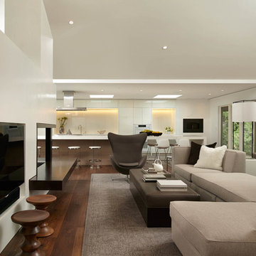 Contemporary Remodel