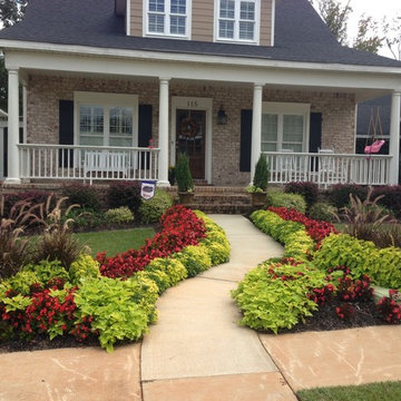 Annual flowers