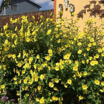 Fun, Flowers, & Food at El Rancho Calypso