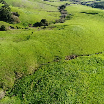 Undeveloped Land, Sonoma County