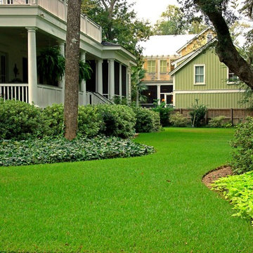 Palmetto St. Augustine Grass