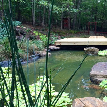 Artificial swamp/pollinator-friendly garden