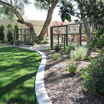 Paradise Valley Residence (2)
