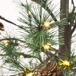 PRODUCTS | Fall Decor - Holiday Decorations