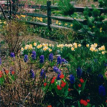 Gardens & Softscapes