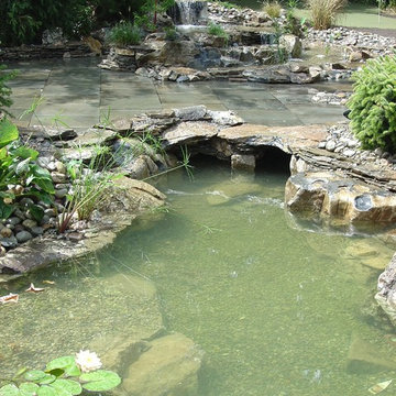 Garden Ponds