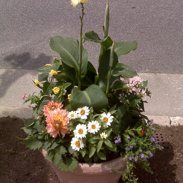 Container Gardens