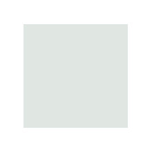 paint color