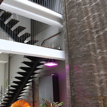 Portfolio 46 (Intermediate Terrace/Modern Tropical)