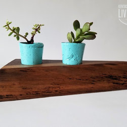 Live Edge Succulent Planters - Plate Stands And Hangers