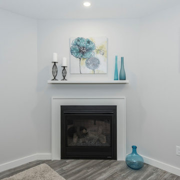 Glenview Heights Basement Apartment Conversion and Whole House Renovation