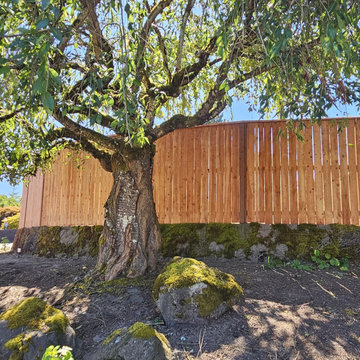 Privacy Fencing