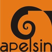 Apelsin Design-Construction's photo