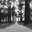 Independent Architectural consulting