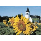 Nancy Ruliffson Nelson's photo