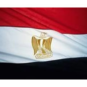 Mohamed Osman's photo
