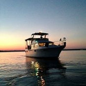 Lennie Nicholson's photo