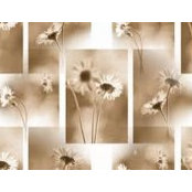 Marie Rolfson's photo