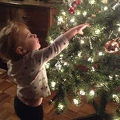 Terry Bommarito's photo