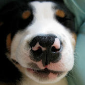 Jason Bedient's photo
