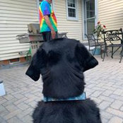 Jennifer Cipriano Hollar's photo
