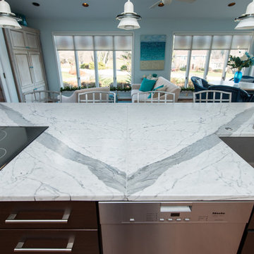 Statuary Venatino Honed Marble Kitchen