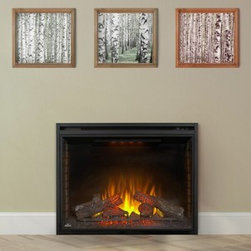 Napoleon Fireplaces - Indoor Fireplaces