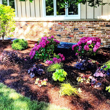 Garden Restoration- Before and After