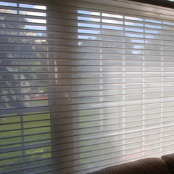 Hunter Douglas Blinds - Venetian Blinds
