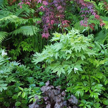 Shade in the Summer Garden in Ottawa (Glebe)