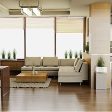 Living Room Ideas