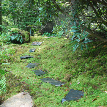 Moss and Fern Garden