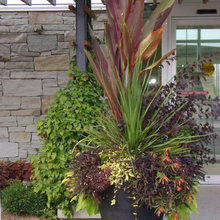 Exterior Ideas