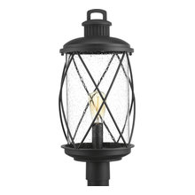 Bison Ext Lights