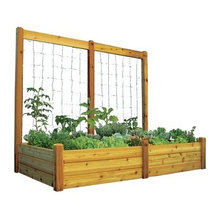 Landscape Ideas