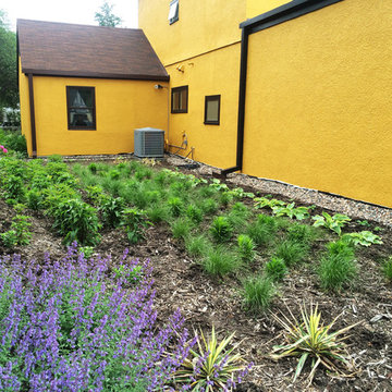 Longfellow Patio, Rain Garden & Dry River Bed