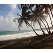 Wu Ami's photo
