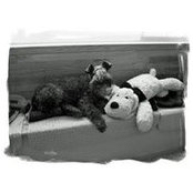 Dave Christmann's photo