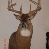 Robin Gunn's photo